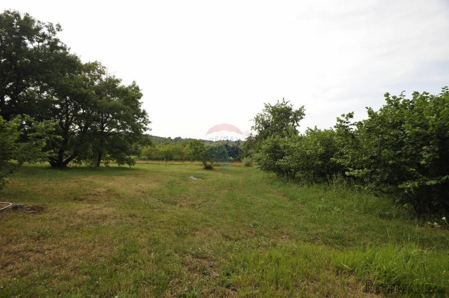 Rovinj,Ranch-20 000m2 i 3 kuće,1km od mora - 6