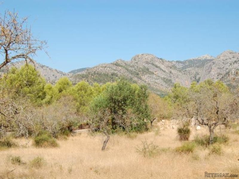*sold* Magnificent Plot With Lovely.. - 2