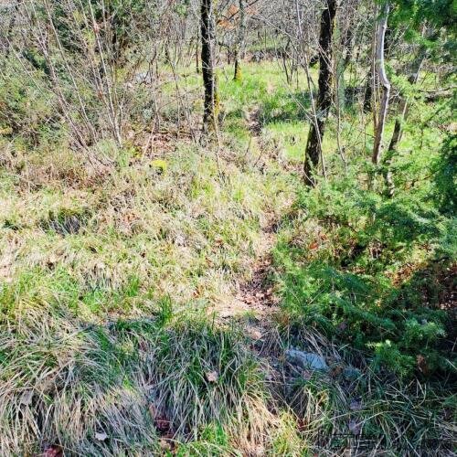 POLJOPRIVREDNO ZEMLJIŠTE – 7.399 m² – KALAC,PRODAJA! - 2