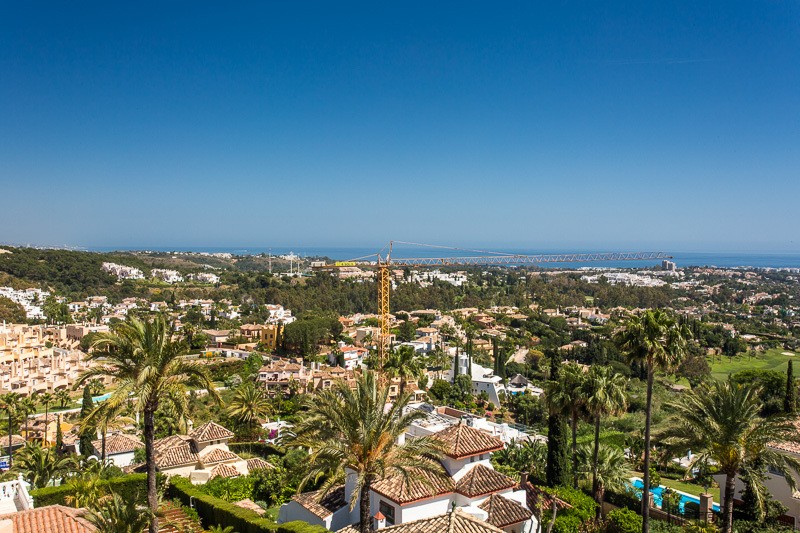 Reference: 348 / Albatross Hill Nueva A - 2