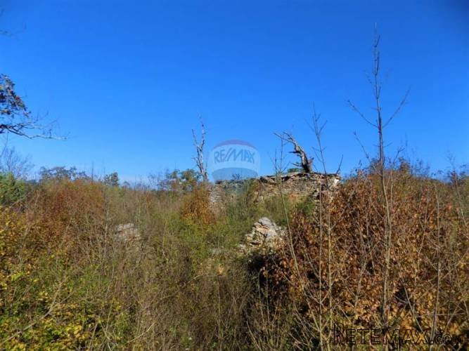 ISTRA, VODNJAN - Poljoprivredni teren 21516m2 s... - 3
