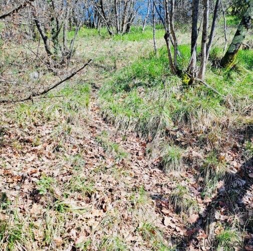 POLJOPRIVREDNO ZEMLJIŠTE – 7.399 m² – KALAC,PRODAJA! - 3