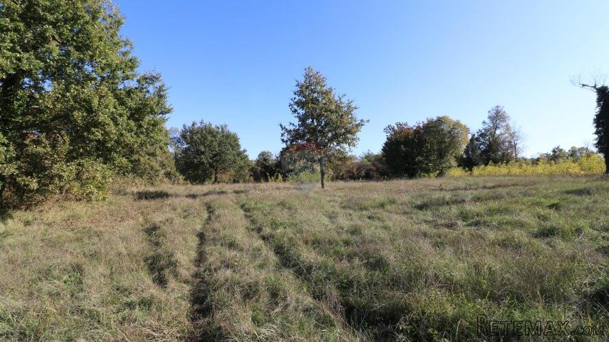 VIŠNJAN, okolica-građevinsko zemljište - 3