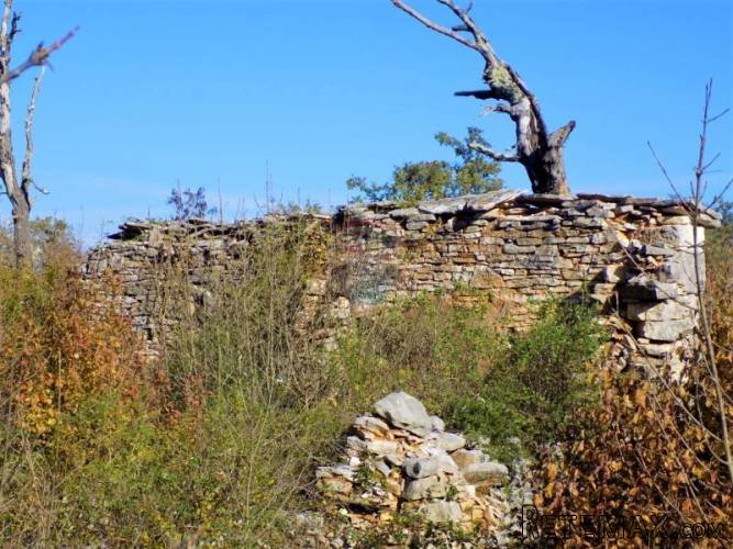 ISTRA, VODNJAN - Poljoprivredni teren 21516m2 s... - 4