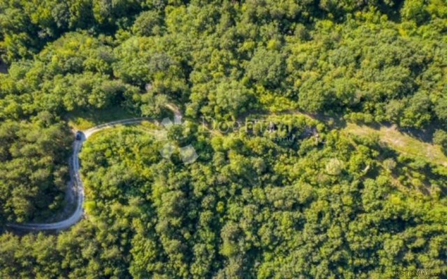 ISTRA – PROJEKT REKONSTRUKCIJE STAROG SELA - 9
