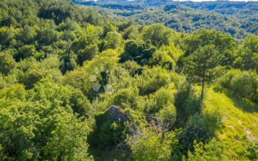 ISTRA – PROJEKT REKONSTRUKCIJE STAROG SELA - 10