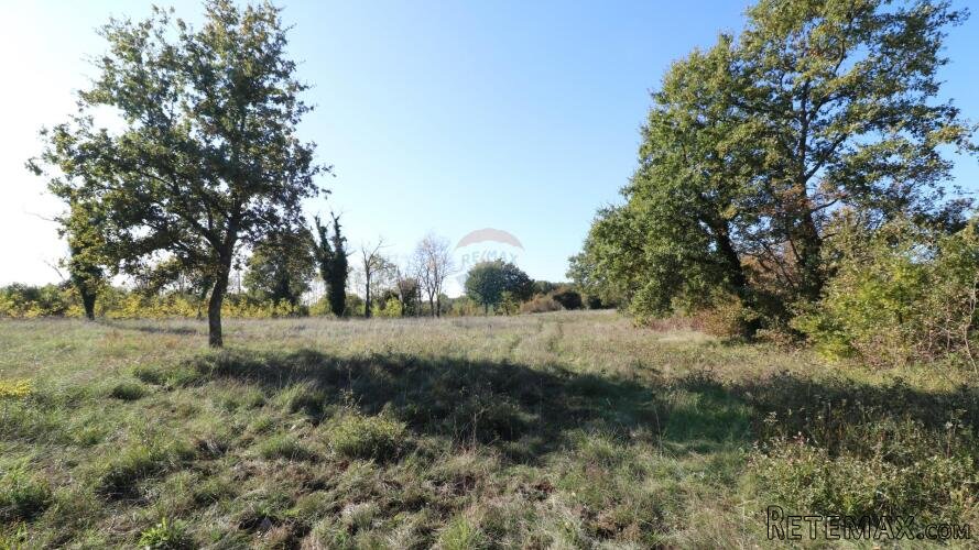 VIŠNJAN, okolica-građevinsko i poljoprivredno zemljište - 2