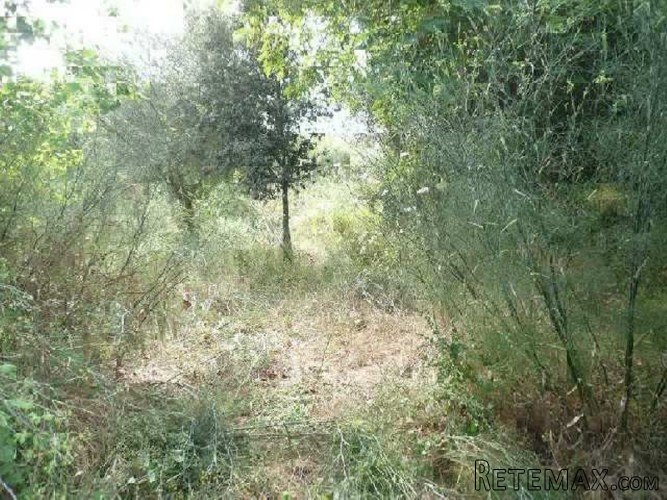 Urban building plot not far from the centre of Campanet, at..