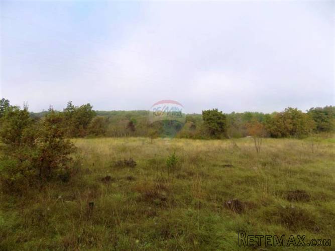 ISTRA, VODNJAN - Građevinski teren 7941m2 nadomak glavne... - 2