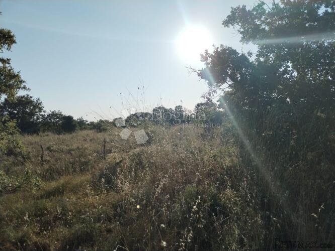 Uredna građevinska parcela u Vrsima - 2