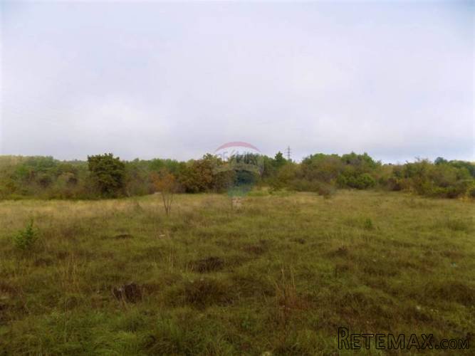 ISTRA, VODNJAN - Građevinski teren 7941m2 nadomak glavne... - 3