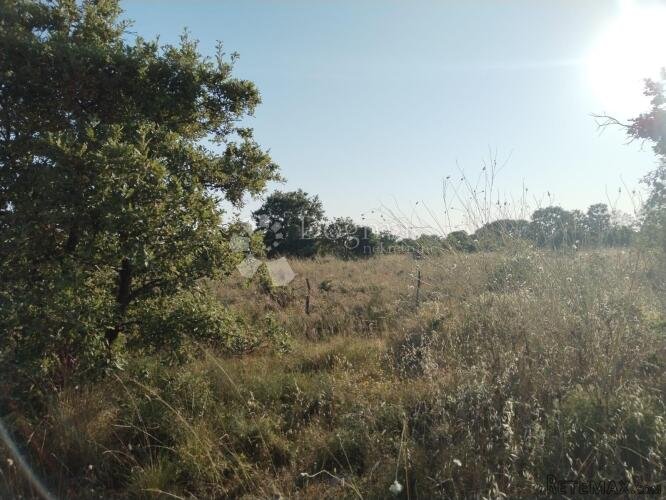 Uredna građevinska parcela u Vrsima - 3