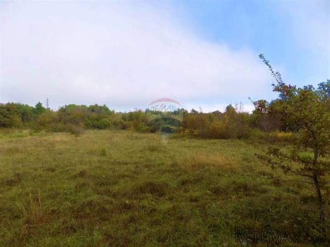 ISTRA, VODNJAN - Građevinski teren 7941m2 nadomak glavne... - 4