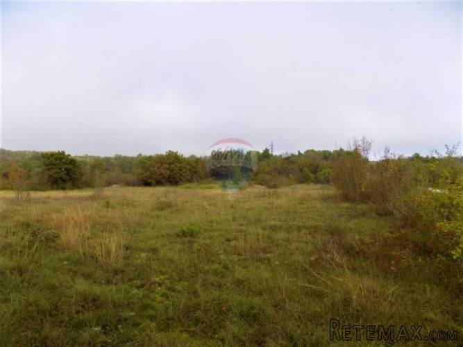 ISTRA, VODNJAN - Građevinski teren 7941m2 nadomak glavne... - 5