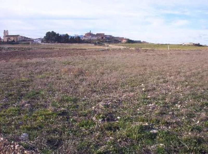Land in Torre Del Rico for building.. - 2