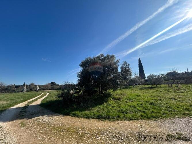 Rovinj, kućica sa velikom okućnicom od 3082 m2 - 2