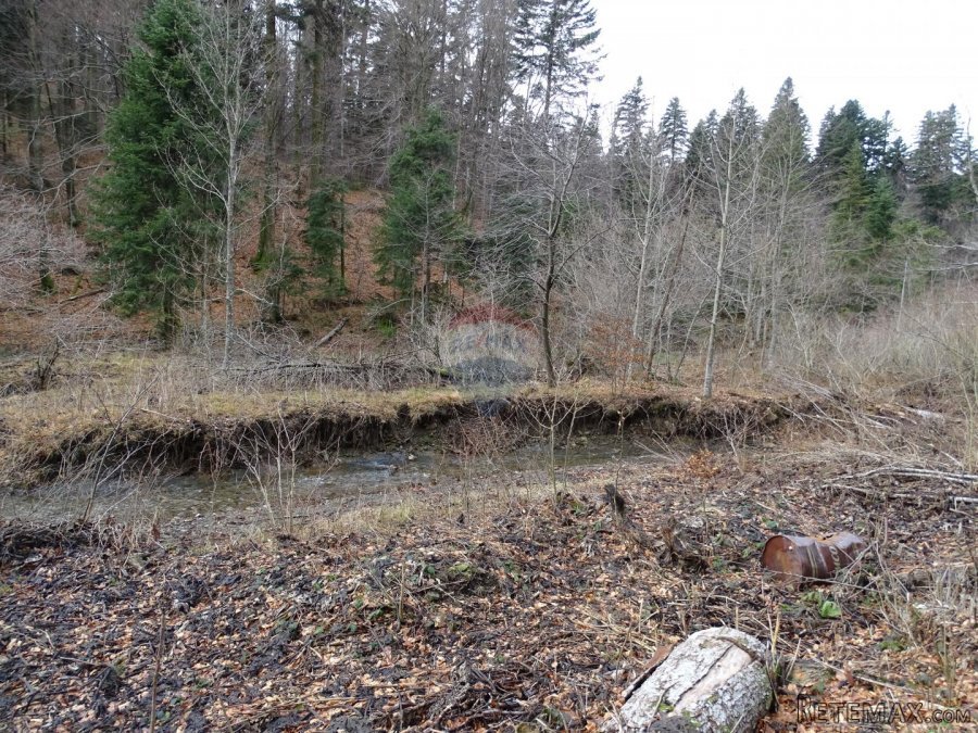 Fužine-GST zona uz potočić - 3