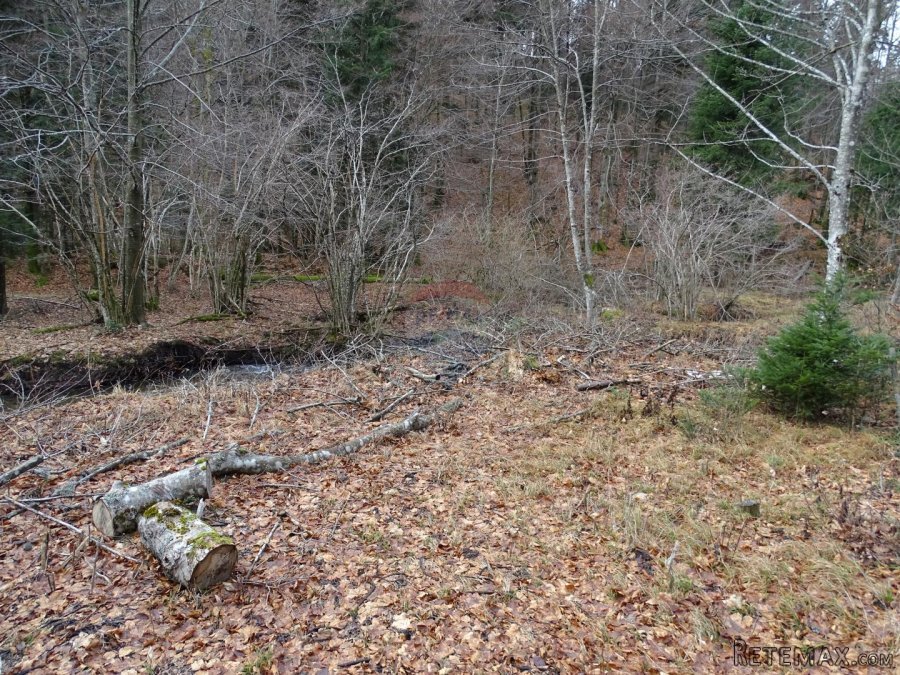 Fužine-GST zona uz potočić - 5
