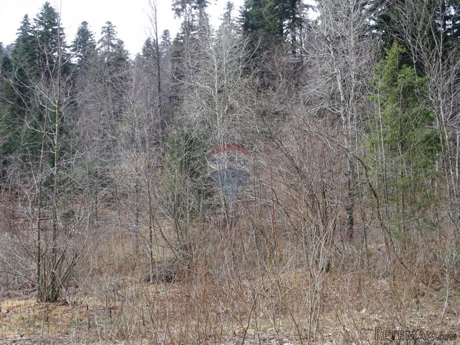 Fužine-GST zona uz potočić - 7