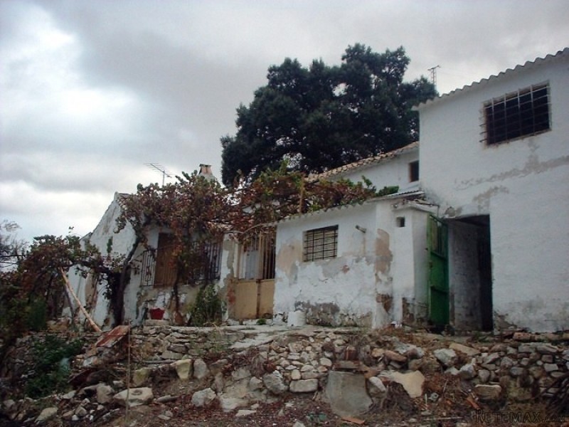Hope In Loja?*