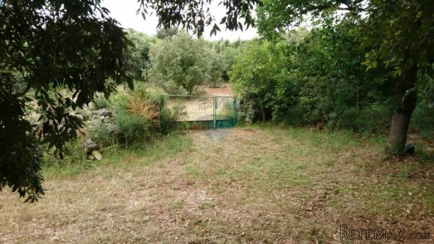 Istra,Vinkuran - Vikend parcela