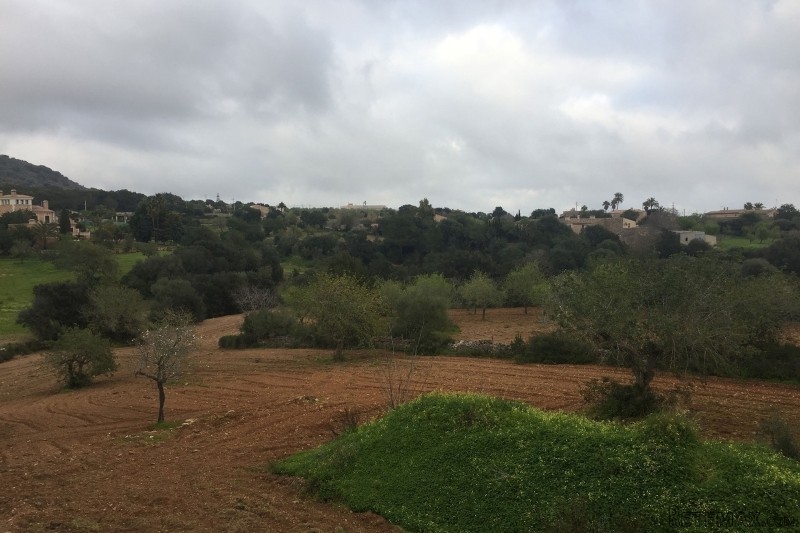 Finca to be finished close to S´horta