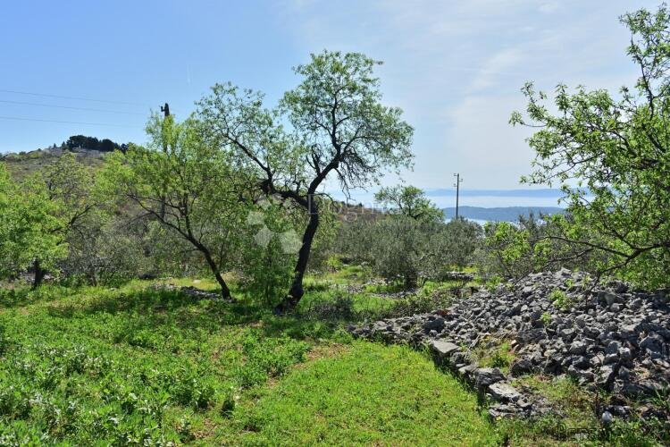 GRAĐEVNO ZEMLJIŠTE DRAŽICE, SEGET GORNJI - 2