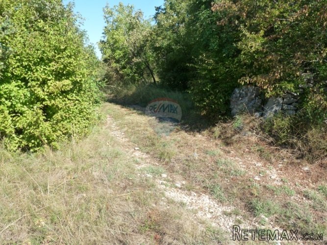 REŽANCI, kombinirano zemljište od 26007 m2