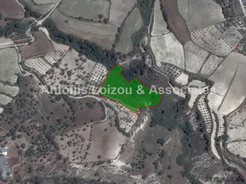 8,343 m2 Agricultural field in Kallepia