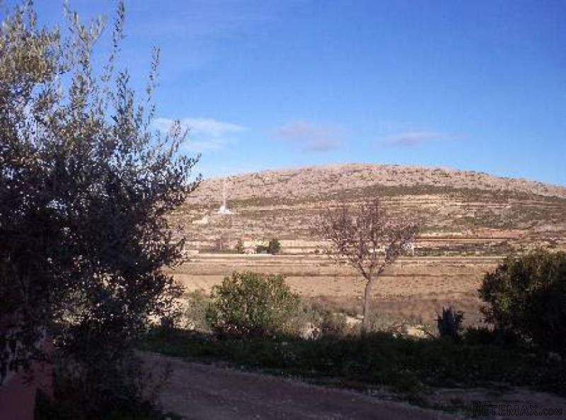 Land in Torre Del Rico for building..