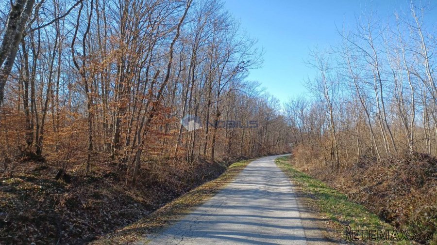 Bukovje, 1900m2
