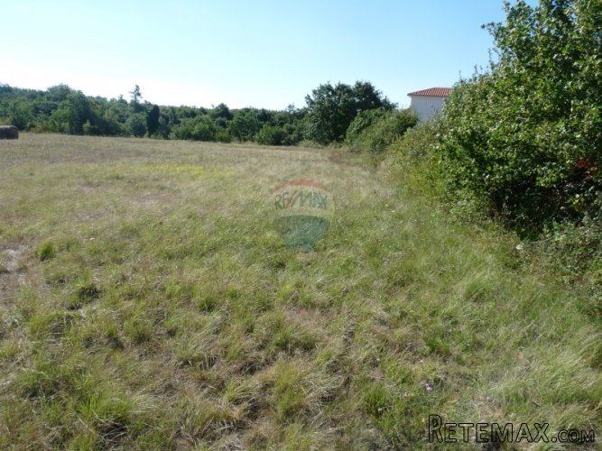 REŽANCI, kombinirano zemljište od 26007 m2 - 4