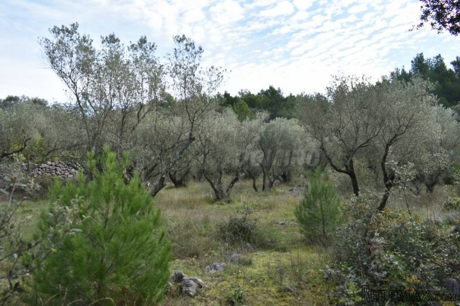Prodaja zemljišta u sportsko-rekreacijskoj zoni! Grad Krk! - 2
