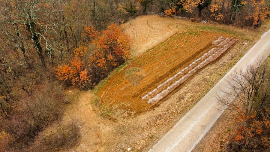 ISTRA, ŽMINJ - Građevinsko zemljište na osamini - 4