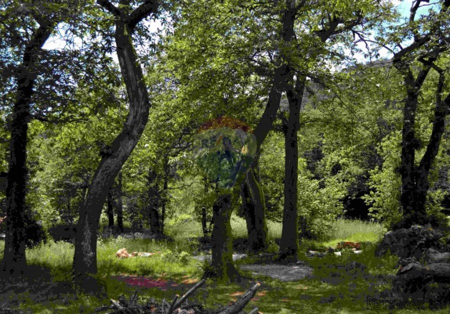 ATRAKTIVAN GRAĐEVISKI TEREN u centru Dobreća, 2700 m2 - 2