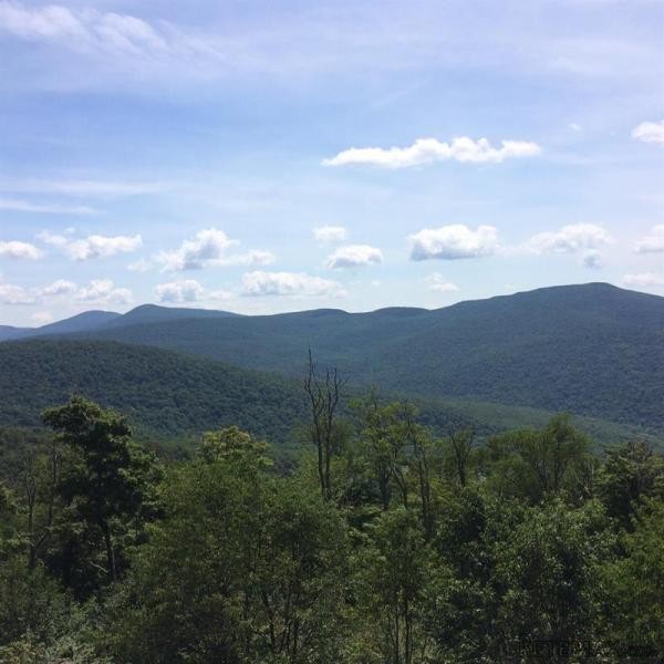 Land For Sale: 67 Tait NY 12455 - 2