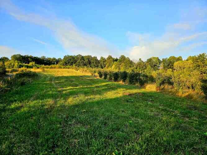 Prodajem imanje 8.6ha sa kucom-Kosjeric - 18
