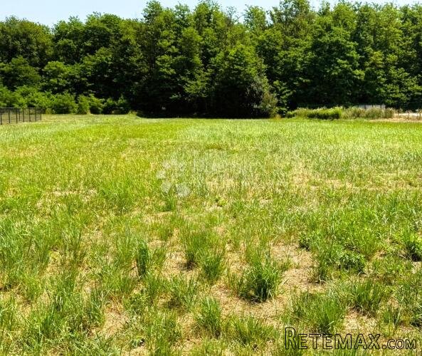 Građevinsko zemljište u industrijskoj zoni - 4030 m²