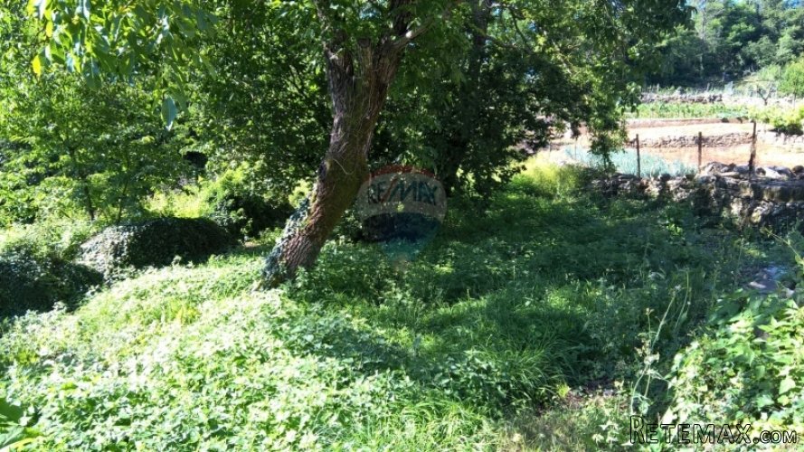 Grožnjan, kamena kuća za adaptaciju - 5