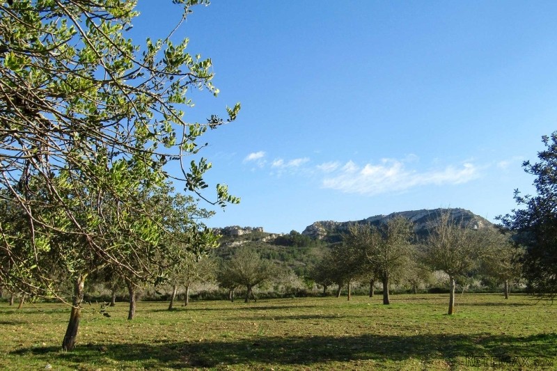 Nice plot with view to the landscape..