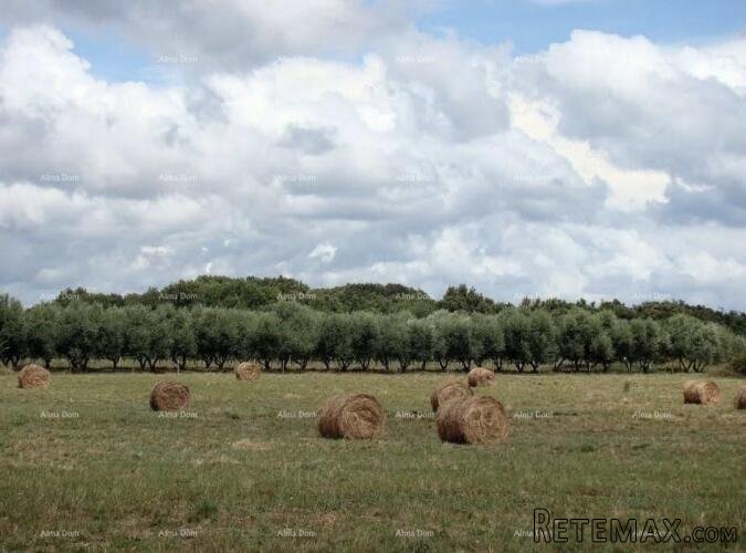 Investicijska prilika! Prodaja građevinskog zemljišta t.. - 2