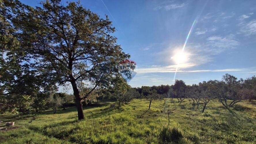 Istra, Buje, lijepo građevinsko zemljište sa pogledom na mor - 3