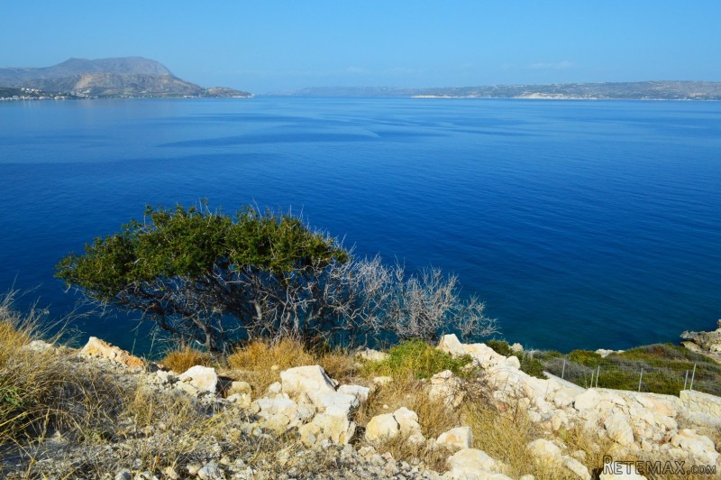 DCP-226 Plaka Plot - € 300,000