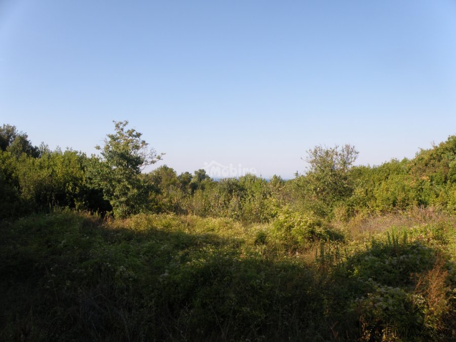 Građevinsko zemljište za vilu ili više stambenih objekata - 4