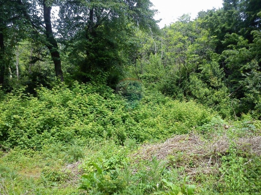 Lovran - Centar,Građevinsko zemljište od 11.700 m2 - 5