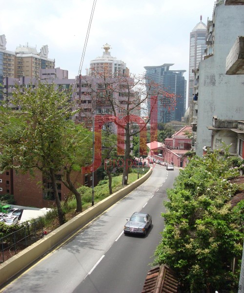 Kam Lai Kuok 金麗閣