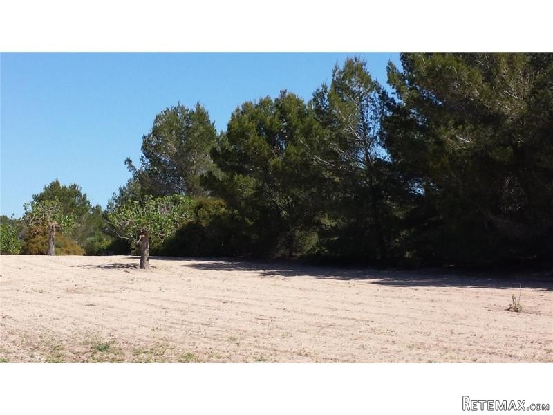 Land New Construction For Sale In..