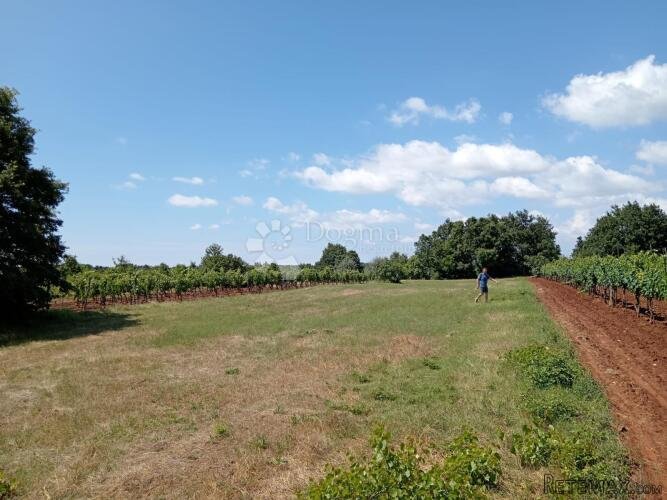 Lijepa parcela u blizini Juršića - 2