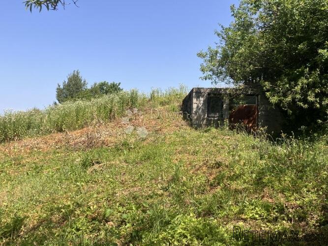 De ftičeki popevleju - 3