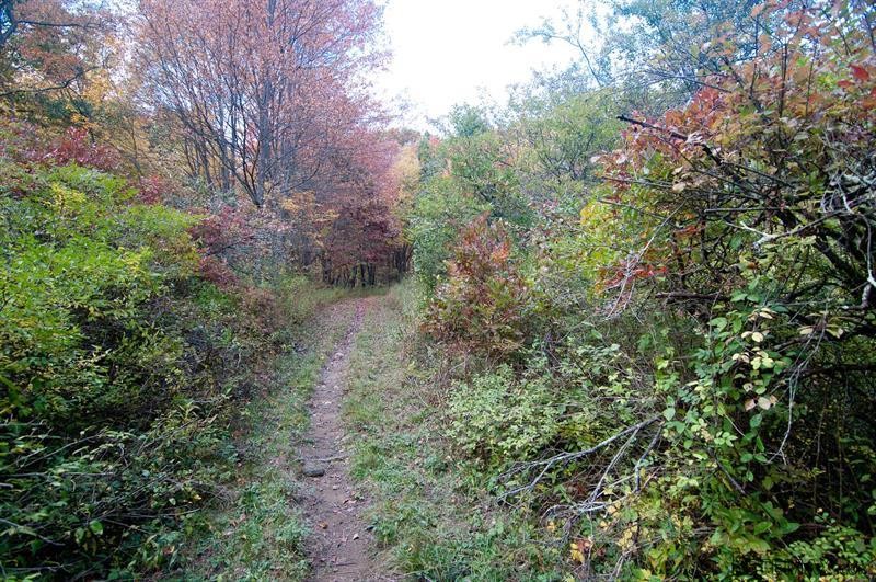 Land For Sale: 185 Finch Road North.. - 2